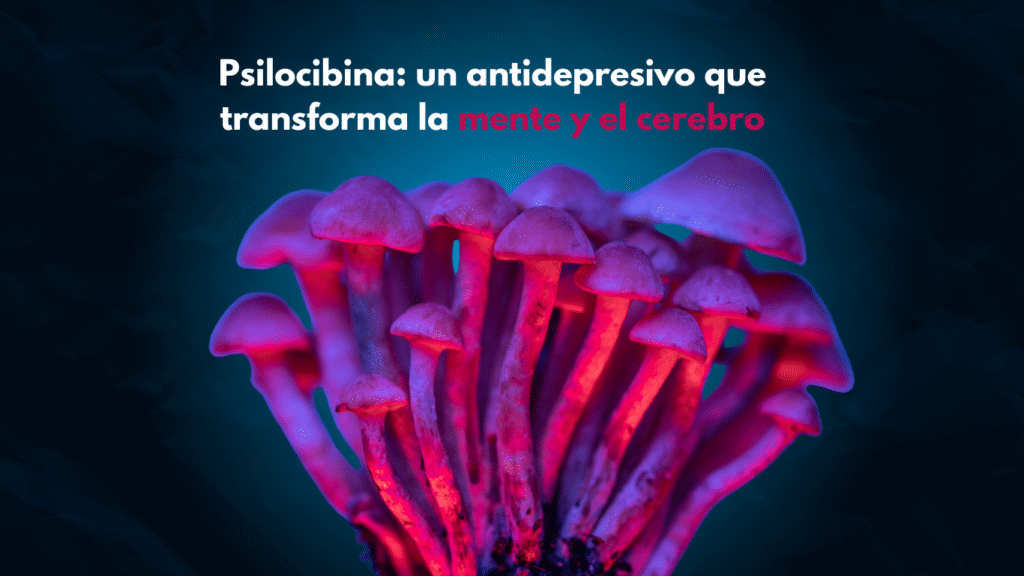 portada dr pablo garcia (1)